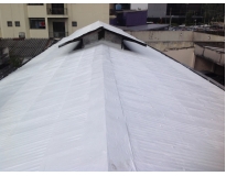 empresa de impermeabilização de telhado com manta em Paulínia