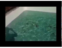 quanto custa impermeabilização de caixa d'água com manta asfáltica em Araras